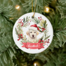Search for yellow labrador christmas tree decorations Pet