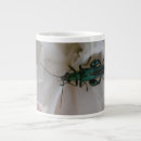 Search for beetles mugs Photography