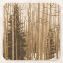 Search for aspen barware Mountains