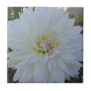 Search for dahlia flower coasters Petals