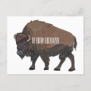 Search for yellowstone bison postcards United states