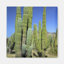 Search for pipe organ magnets Desert