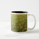 Search for northeastern mugs Landscape