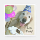 Search for golden retriever with cake Happy birthday