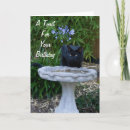 Search for two black cats cards Feline