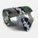 Search for pup ties Pet