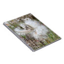 Search for pod notebooks Nature