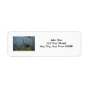 Search for wetlands return address labels Birds