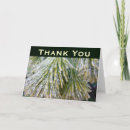 Search for pine needles cards Nature