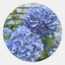 Search for horticulture stickers Blue