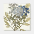 Search for botanical study magnets Leaves