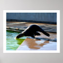 Search for dive posters Animals