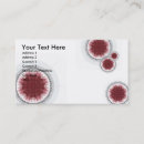 Search for rendering business cards Abstract