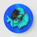 Search for betta posters Black
