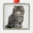Search for persian cat christmas tree decorations Cats