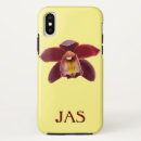 Search for red orchid orchids cases Nature