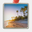Search for dominican republic christmas tree decorations Beach
