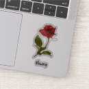 Search for knockout rose For her