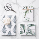Search for palm leaves wrapping paper Tree