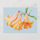 Search for pencils postcards Watercolor