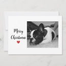 Search for furry and bright christmas cards Puppy