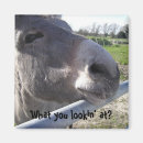 Search for donkeys magnets Farm