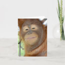 Search for funny promotion cards Success