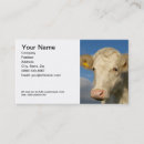 Search for dairy milk business cards Beef