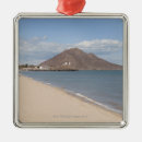 Search for tranquil scene christmas tree decorations Surf