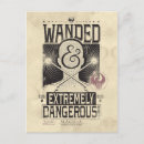 Search for harry potter wanted posters Witch