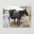 Search for buggy postcards Pennsylvania