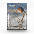 Search for bluebird decor Animal