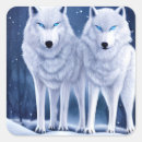 Search for arctic wolves Wildlife