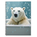 Search for polar bear notebooks Wildlife