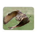 Search for captivating magnets Bird