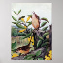 Search for jasmine flowers art Yellow