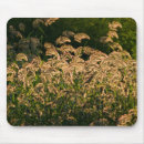 Search for wetlands mouse mats Marsh