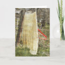 Search for blanket cards Photography