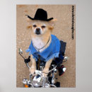 Search for funny dog pictures posters Photos