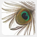 Search for colorful peacock stickers Animal