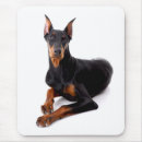 Search for dobermans electronics Puppies