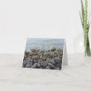 Search for seashore cards Water