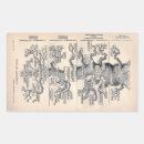 Search for life sciences stickers Ernst haeckel