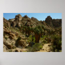 Search for desert oasis art California