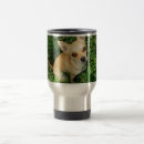 Search for chihuahuas travel mugs Puppy