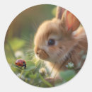 Search for cute easter bunny stickers Animal