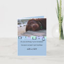 Search for chocolate lab cards Labrador retriever
