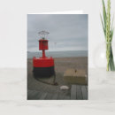 Search for superior cards Photography