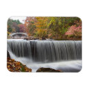 Search for fall leaf magnets Waterfall