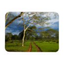 Search for track magnets Colour image